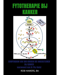 Fytotherapie bij Kanker