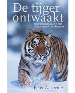 De tijger ontwaakt